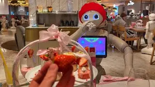 Robot Waiters: Japan&rsquo;s Caf&eacute; of the Future! PEPPER PARLOR 🇯🇵 Travel Guide