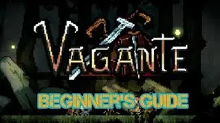 Vagante: A Beginner's Guide **2020 addendum in the description**