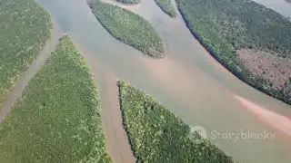 #sundarban #jammu island
