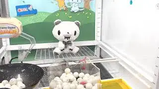 Toreba Win - Chax GP - Teddy Gloomy Plushy [Type - Mono Check] A