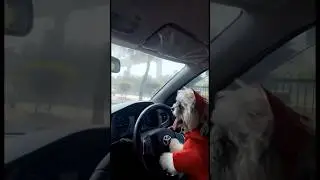 Driving 🚔❤️#viral#shortvideo#youtubeshorts#driving#skills#cute
