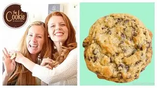 Doubletree Chocolate Chip Cookies | Pennies into Pearls Collab