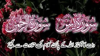 Surah Yasin ❤️ Surah Rahman | Emotional Hearttuching Recitation | Quran Tilawat |