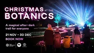 Christmas at the Botanics 2023 | Royal Botanic Garden Edinburgh