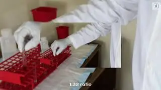 How to make a 3-5% Red Blood Cell, RBC, Suspension.