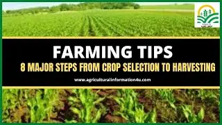 Farming Tips for beginners : Eight Major Steps from Crop Selection to Harvesting