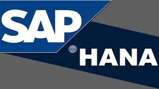 hana input parameters and variables in analytic views
