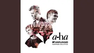 Memorial Beach (MTV Unplugged)