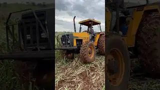 Valmet&atilde;o 885 no corte da silagem #trator #valmet #silagem #agro #agropecuaria #fy #shorts #fazenda