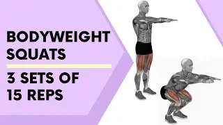 Bodyweight Squats 3 Sets of 15 Reps for Lower Body Strength