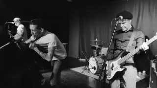 The Parkinsons 