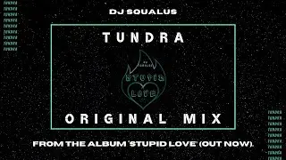 DJ Squalus - Tundra (Original Mix) Future House Music | Stupid Love Album | Summer Music 2020