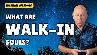 What Are WALK-IN SOULS? Bashar Explains | Channeled by Darryl Anka