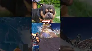 USE CODE GG33 #fortnite #toose #kxrvinho #toosefn #merstach #malibuca #mongraal #putrick #фортнайт
