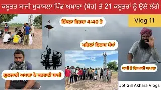 ਕਬੂਤਰ ਬਾਜੀ 🕊️ਮੁਕਾਬਲਾ ਪਿੰਡ ਅਖਾੜਾ (ਥੇਹ) ਤੇ 21 ਕਬੂਤਰਾਂ ਨੂੰ ਉੱਲੇ ਲੱਗੇ 4:40 ਤੇ ਫਿਰਦਾ ਇੱਕਲਾ 