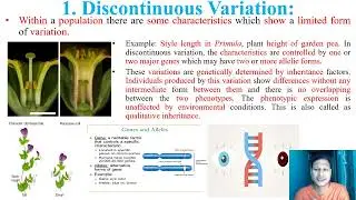 Chapter 2, CLASSICAL GENETICS. video Part 1