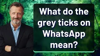 What do the grey ticks on WhatsApp mean?