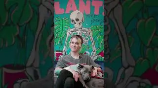 The Story of Pot heads Plant Shop