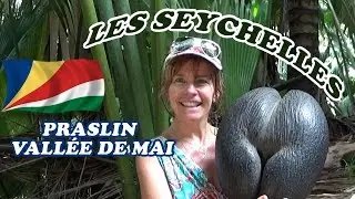 SEYCHELLES : Praslin - La vallée de Mai