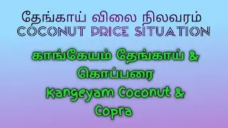 29 | 08 | 2025 காங்கேயம் கொப்பரை மற்றும் தேங்காய் விலை | Kangeyam copra and coconut prices