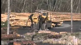 Land deal brings land-use certainty to Vancouver Island's west coast: Timberwest