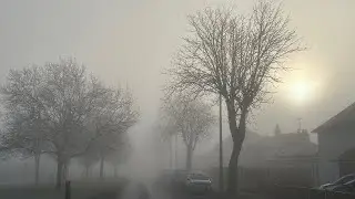Foggy Morning Walk to Southend Hospital