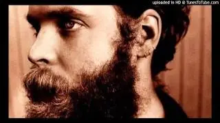 02 - Palace Music - Viva Ultra