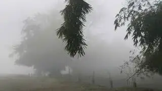Oumura village magh Bihu celebration Barpeta 