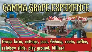 GAMMA GRAPE EXPERIENCE | Eduwisata anggur, kolam renang, kolam pancing rainbow slide dan lain - lain