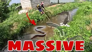 Kakatakot ang mga naglabasan dito sa masukal na lugar grabe mapapasigaw ka talaga?