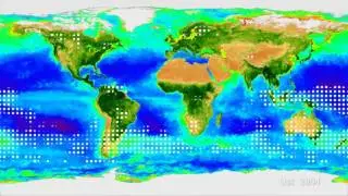 Correlation Between Tropospheric CO2 and Seasonal Variation of the Biosphere