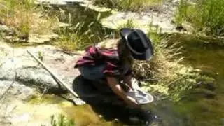 Gold Rush Video 4th grade project - final