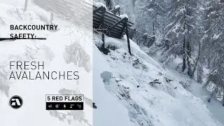 The 5 Red Flags: FRESH AVALANCHES