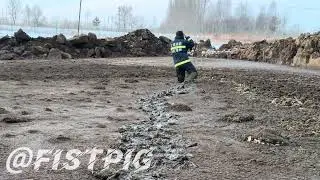 20260102 Walking into the Cow Shit pile