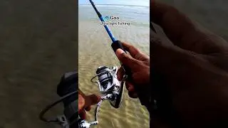 Ultra light fishing in Goa 🐟          #fish#goafish #youtube #fishingvideo #ultralightfishing #goa