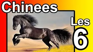 Chinees voor Beginners | De Chinese tekens / karakters leren schrijven, gratis cursus, lessen online