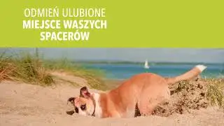 PURINA&reg; DOG CHOW&reg; #PrawdziwePsy - Odmień ulubione miejsce Waszych spacer&oacute;w