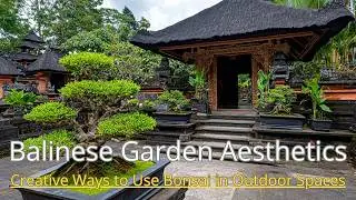 Bali Bonsai Paradise: Top Garden Decor Ideas for Tropical Landscaping