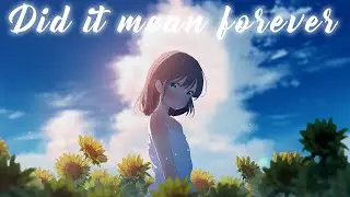 Nightcore - Did it mean forever (Nolan van Lith)