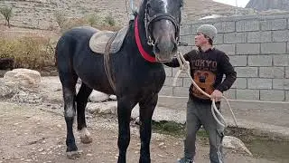 Срочно от сотилади буйи 1,67.3100$.  Те+79166423455.