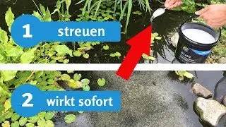 Teichschlamm entfernen in Minuten &ndash; geht das? Der Live-Test mit Erfahrungsbericht