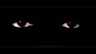 Blanc 23i - katana FT Islam 23 FT DAK ( audio officiel )
