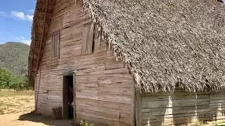 Habanos Vegueros