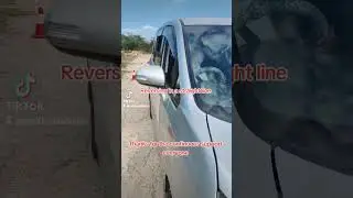 Reverse in a straight line