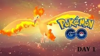 Trying to catch Moltres... Day 1