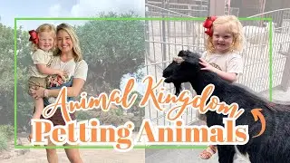 Toddler Takes on the Animal Kingdom: A Wild Journey!