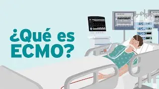 ¿Qué es el ECMO? | Clínica Alemana