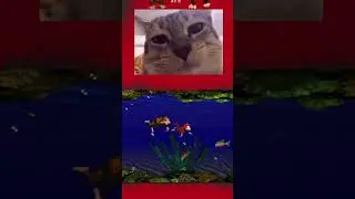 нереальный водный вайбик | Donkey Kong Country | #n0n4me_me