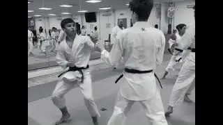 This is Kanzen Karate