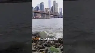 Serene Waves: Brooklyn Bridge View from Brooklyn Bridge Park 🌉🌊